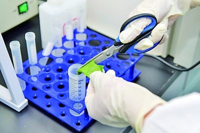 Betrouwbare bacteriële identificatie eenvoudig gemaakt met Babio's Gram Stain Kit