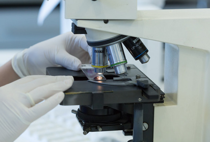 Versnel de vetanalyse versnellen met Babio's JC-SXT-6A geautomatiseerd Soxhlet-extractiesysteem augustus 2025 | Babio Newsroom