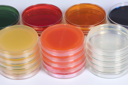 Sapouraud Dextrose Agar (SDA) van hoge kwaliteit door Babio
