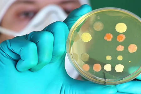 Babio lanceert hoogwaardige briljante groene lactose galbouillon voor voedsel en watertests