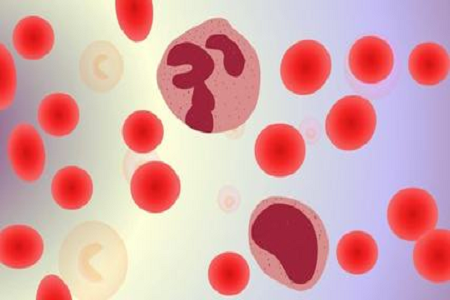 BABIO lanceert de HBcAb Hepatitis B Core Ab-sneltest voor mondiale markten