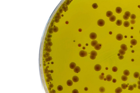 BABIO Mueller-Hinton-bouillon ondersteunt betrouwbare tests op antimicrobiële gevoeligheid