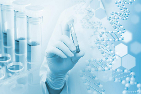 H. pylori IgG/IgM-testkit: oplossing voor snelle antilichaamscreening