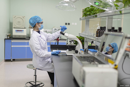 Gebufferd peptonwater: een betrouwbare start voor het testen op Salmonella