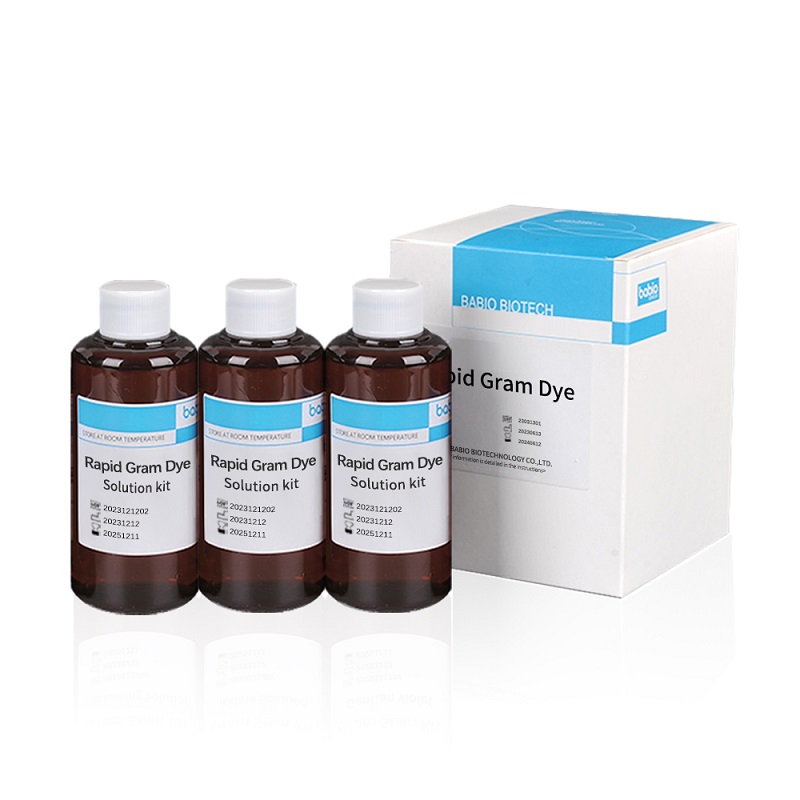 Snelle Gram Dye Solution-kit